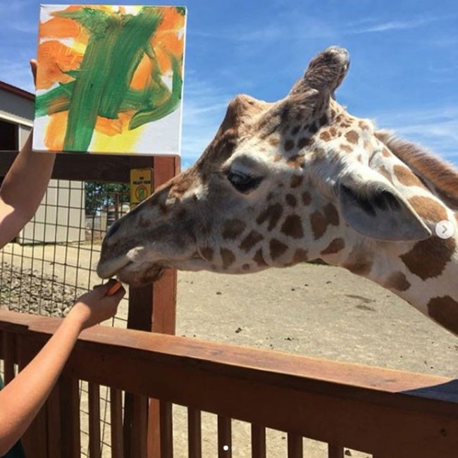 April the Giraffe